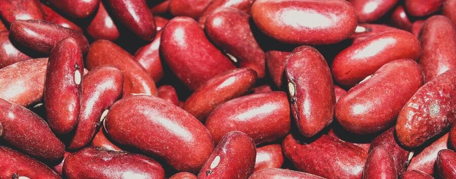 Kidneybohnen als Proteinquelle